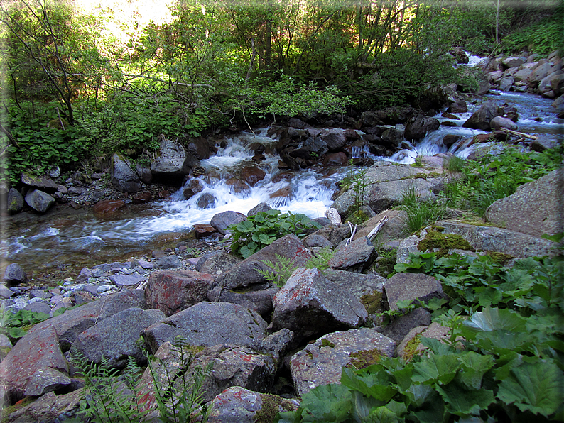 foto Malga Valsorda